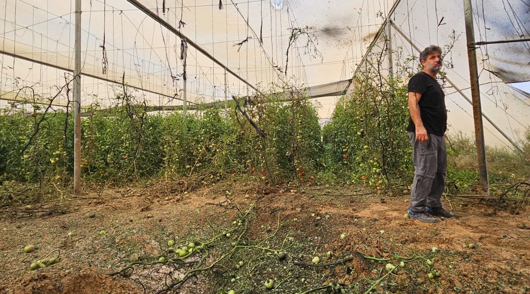 A local farmer stands in a field in southern Israel. (Eliyahu Freedman)