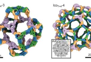 AI-Powered Drug Platform Transforms Deadly Virus into Breakthrough Medical Technology