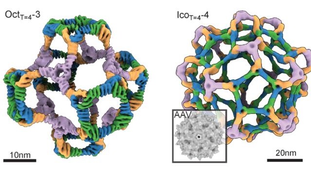 AI-Powered Drug Platform Transforms Deadly Virus into Breakthrough Medical Technology