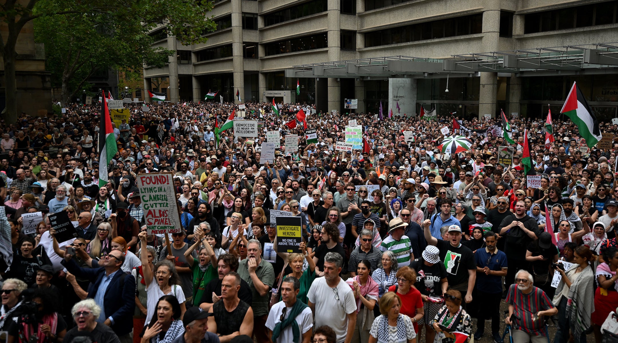 A photo of a large pro-Palestinian demonstration.
